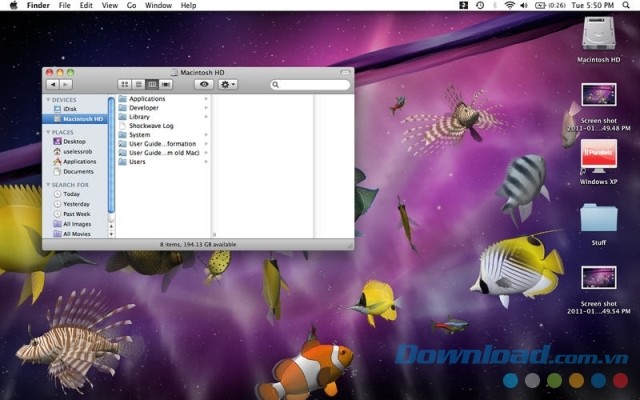  Tùy chọn hình nền trên Desktop Aquarium 3D vô cùng đơn giản