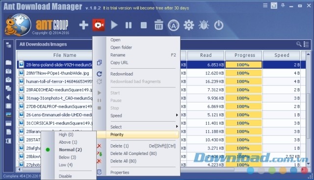  Phần mềm hỗ trợ tải video chuyên nghiệp Ant Download Manager