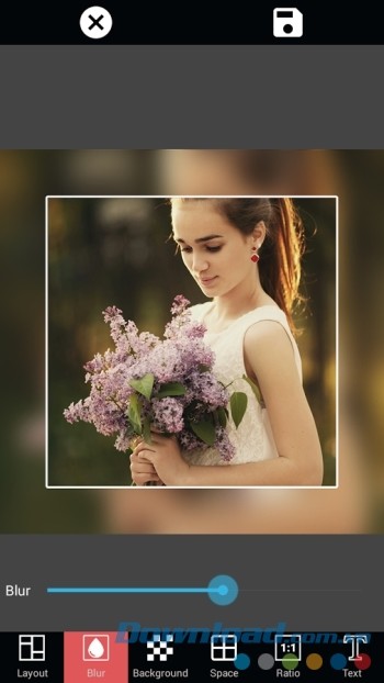 Làm mờ nền ảnh để làm nổi bật đối tượng