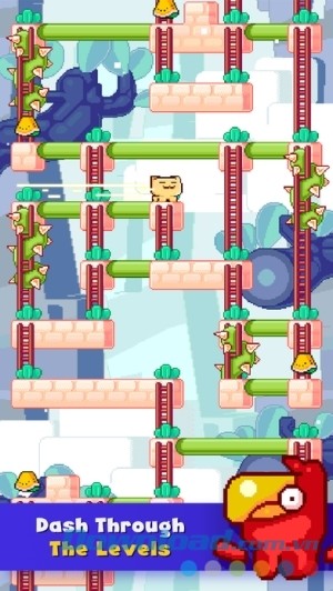 Game vui miễn phí Dashy the Cat cho iOS 