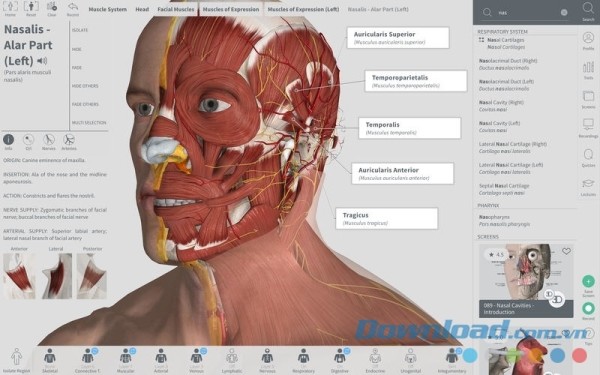 Complete Anatomy cho Mac hiển thị chú giải chi tiết về mọi bộ phận