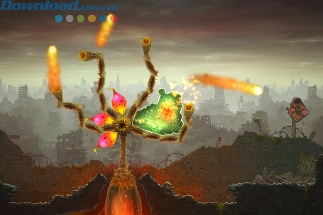 Hướng dẫn đưa các tế bào nấm vượt qua được sa mạc