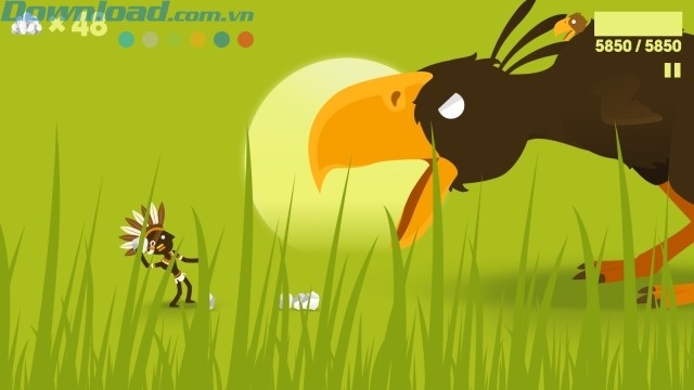 và có cả những loài chim khổng lồ