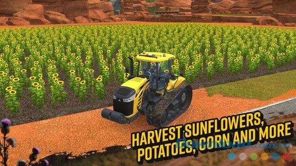 Thu hoạch 6 mùa nông sản khác nhau trong Farming Simulator 18 cho Android 