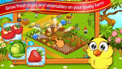 Trồng các loại rau và hoa quả tươi ngon