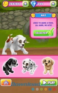 Thú cưng trong Dog Run - Pet Dog Simulator cho Android 