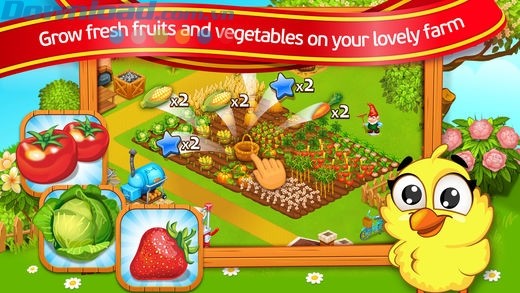 Trồng rau, củ, quả trên nông trại