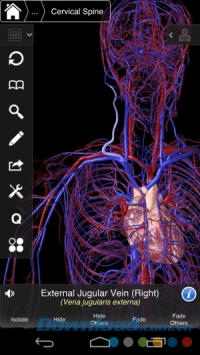 Hệ thần kinh trên Essential Anatomy 3 cho Android 