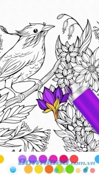 Tô màu tranh InColor cho Android 