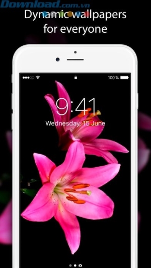 Nhiều chủ đề hình nền khác nhau