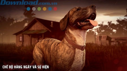 Chế độ hàng ngày và sự kiện