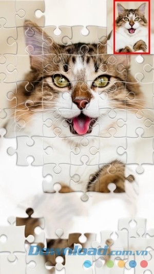 Bộ sưu tập tranh đa dạng của Jigsaw1000 cho Android