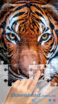 Game trí tuệ Jigsaw1000 cho Android