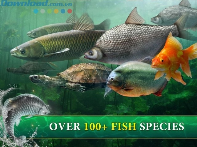 Hơn 100 loài cá cho người chơi đánh bắt