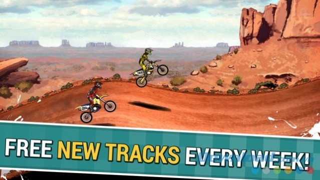 Đua xe trên các cung đường tự do