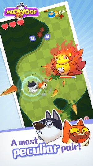 Điều khiển một cặp chó mèo kỳ quặc, hài hước