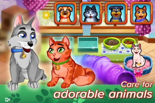 Chăm sóc cho các con vật bị bỏ rơi