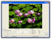 JPEG Optimizer Pro