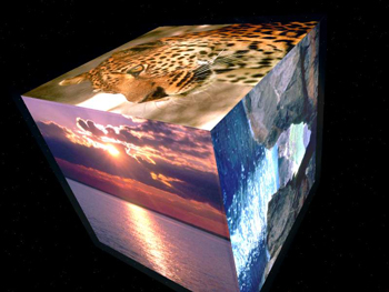 Picture Cube 3D 