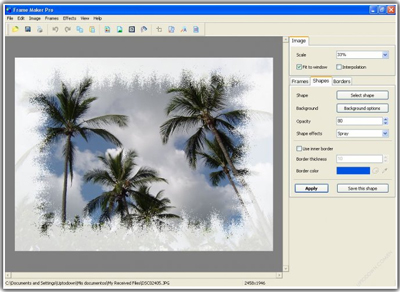 Frame Maker Pro
