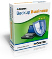 Ocster Backup Business