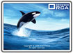 Orca Browser 1.1