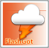 FlashGot for Firefox