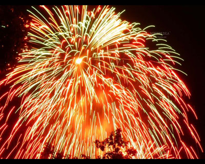 Màn hình chờ Fireworks Screensaver