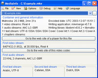 Portable MediaInfo