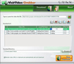 WebVideo Grabber