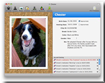 Clarus for Mac OS X