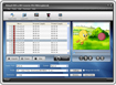 Nidesoft DVD to AVI Converter 5.0
