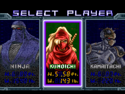 Ninja Warriors