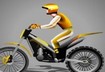 Stunt Dirt Bike