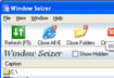 Window Siezer