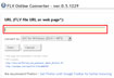Online FLV Converter