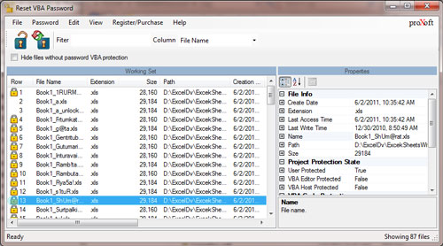 Reset VBA Password