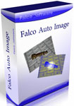 Falco Auto Image