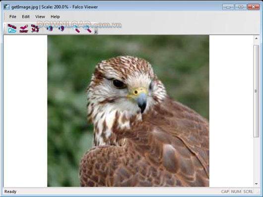 Falco Viewer