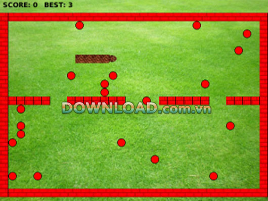 A Snake For Blackberry