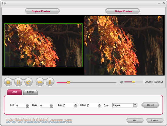 Doremisoft AVCHD Video Converter