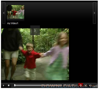 VISCOM Web Player