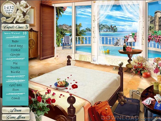 Dream Day Wedding For Mac