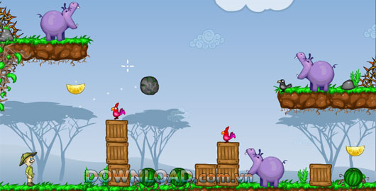 Hippo’s Feeder