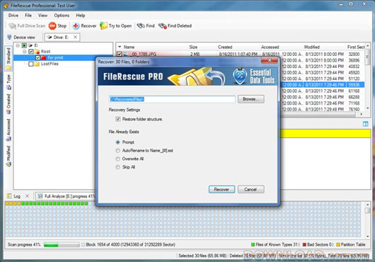 FileRescue Professional