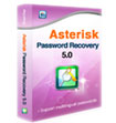 Smart Key Asterisk Password Recovery