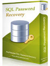 Smart Key SQL Password Recovery