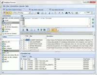 Database Browser