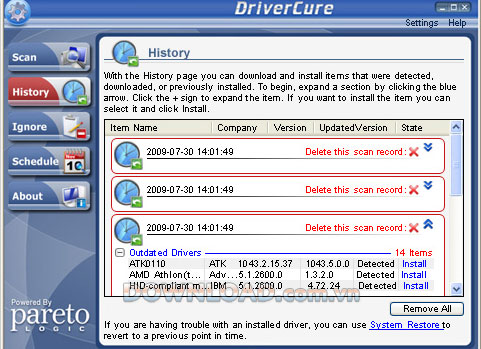 ParetoLogic DriverCure