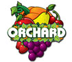 Orchard